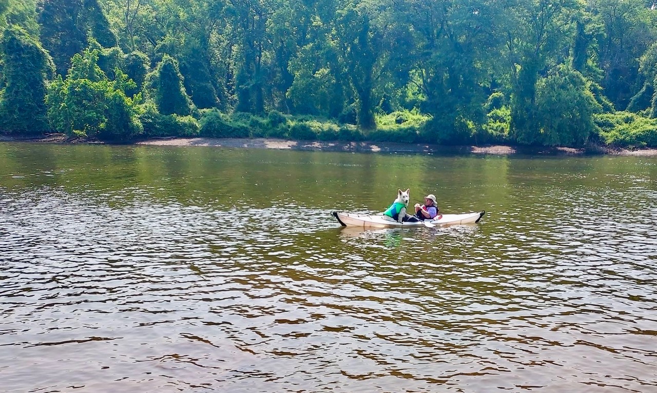 Lupu kayaking on the Anacostia with Simcha, white Swiss shepherd